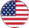 Flag of the United States of America